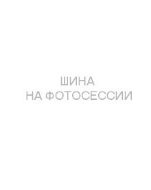 Шины Tunga 175/65R14 82Q Nordway 3 TL (110 шип.)