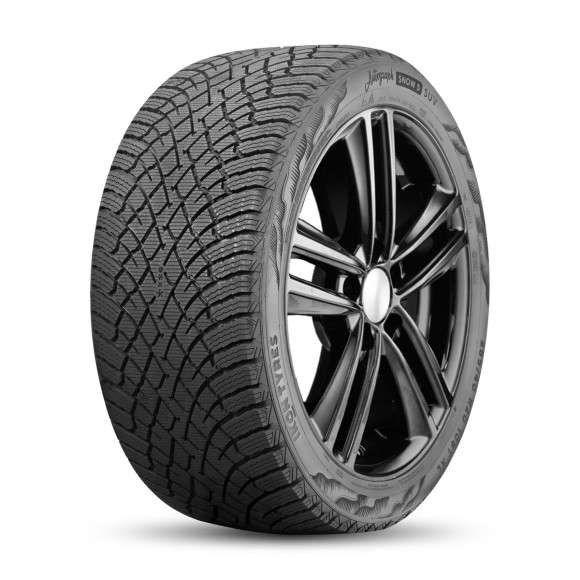 Шины Ikon Tyres  255/40/20  T 101 Ikon Autograph Snow 5 SUV  XL